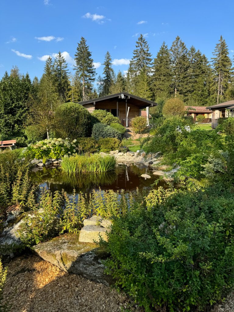 Gartenteich mit Steinen und Bepflanzung, im Hintergrund eine Holzhütte